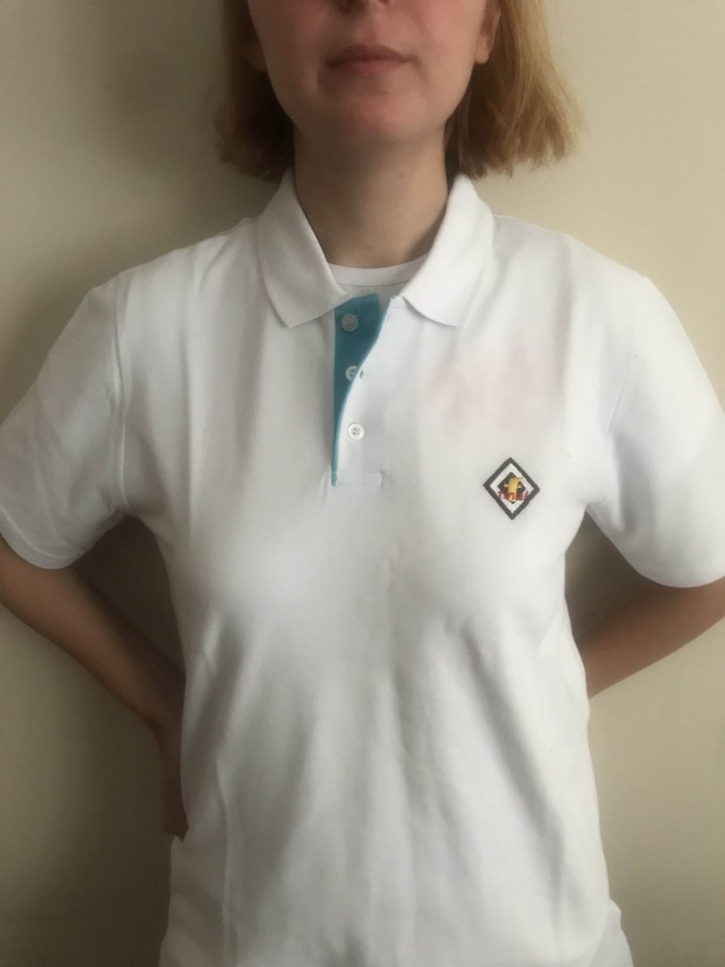 Polo Yaka T-Shirt Modeli 